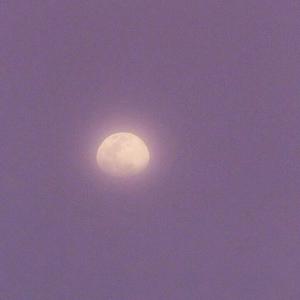 李恩珠A片无删减在线观看
